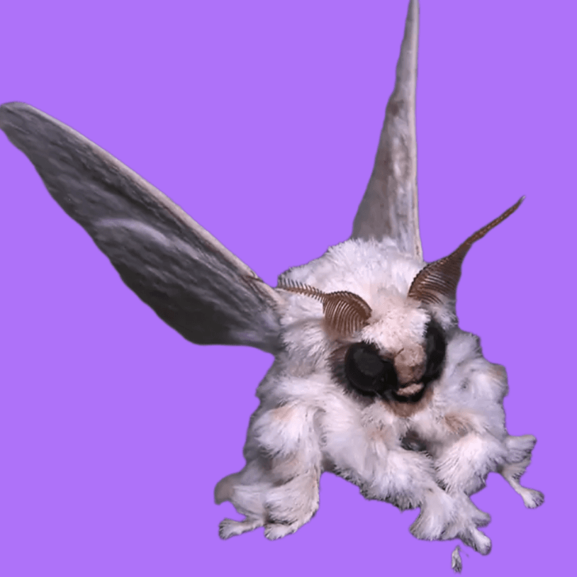 Brian avatar