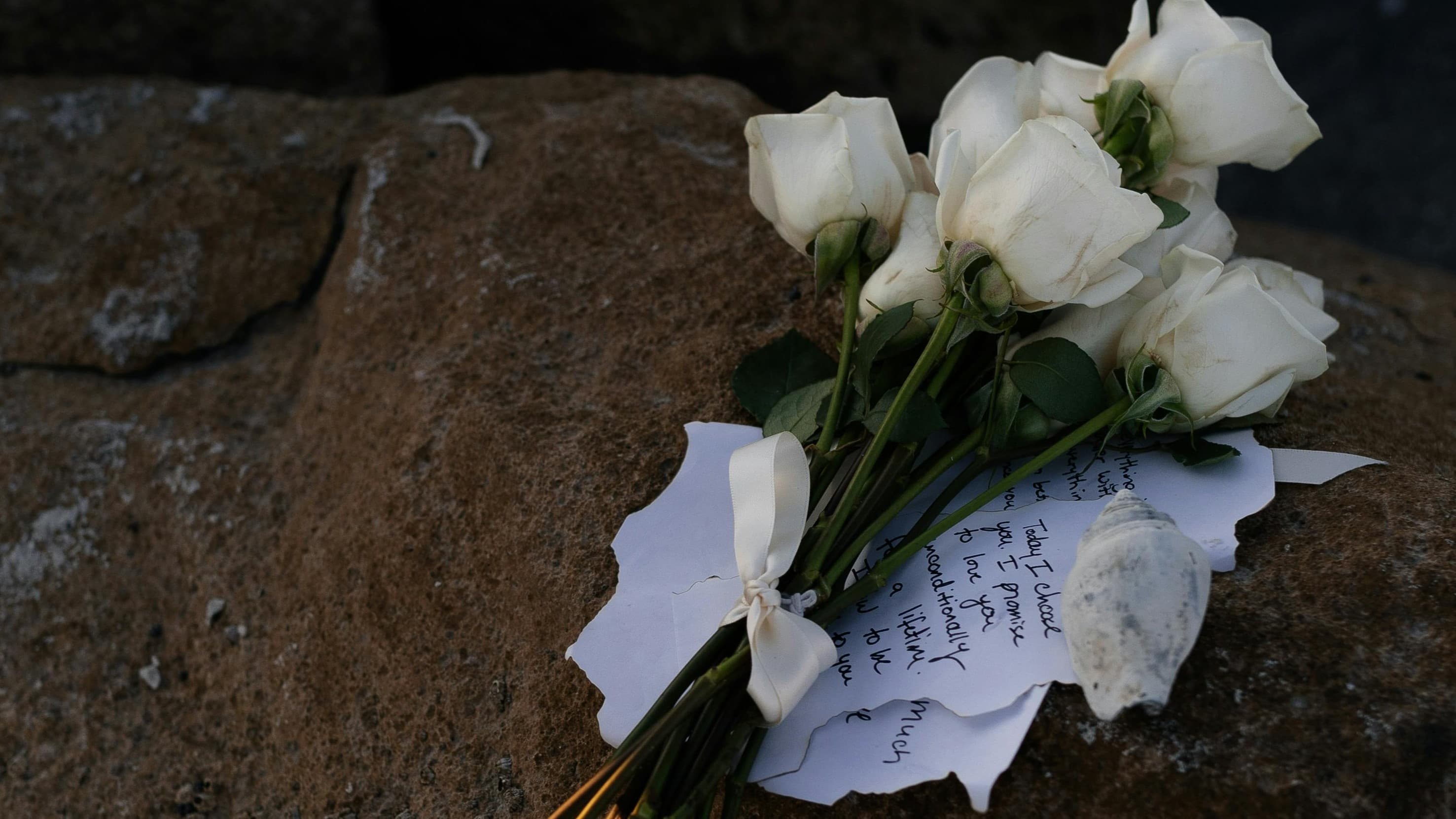 One Last Adventure? LGBTQ+ & Beginner Friendly