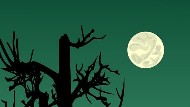 Fate Calls Under a Crooked Moon