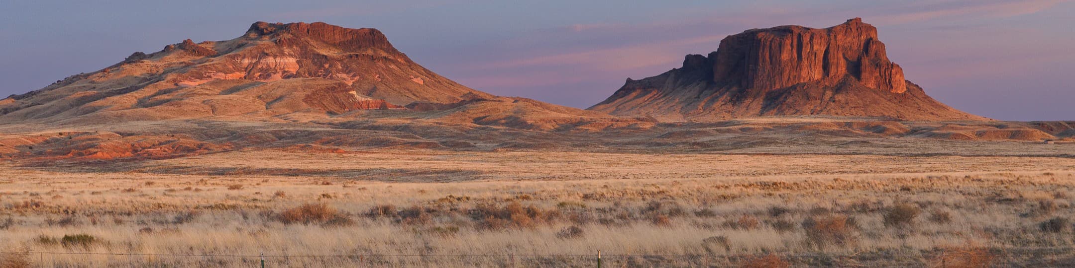 Dungeon Crawlin' Collin banner