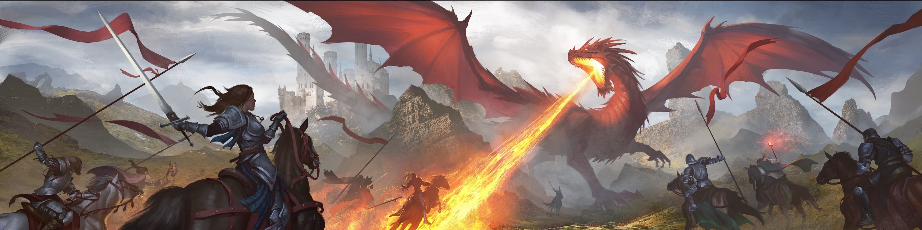 Seba banner