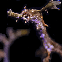 Void Dragon