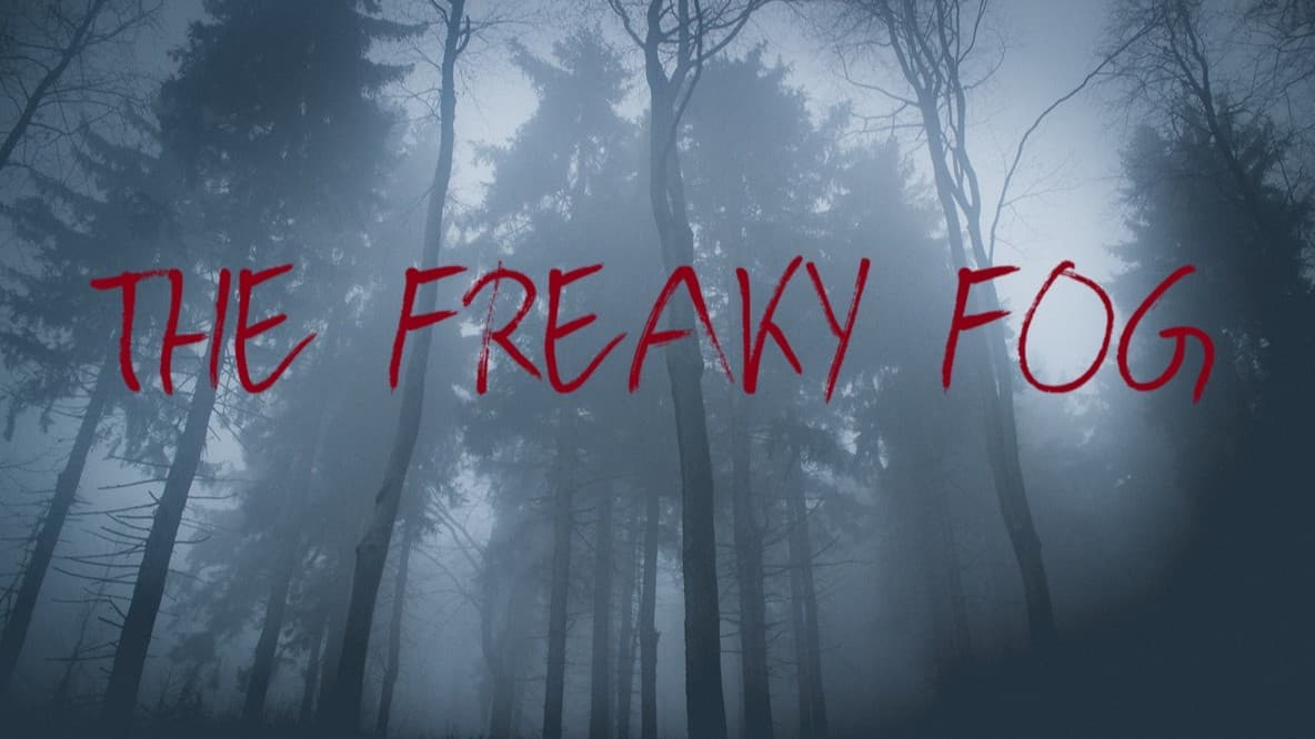 Learn to Play Avatar Legends! The Strange Mist One Shot