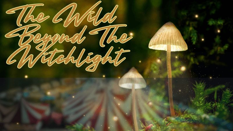 Wild Beyond The Witchlight, A Feywild Adventure