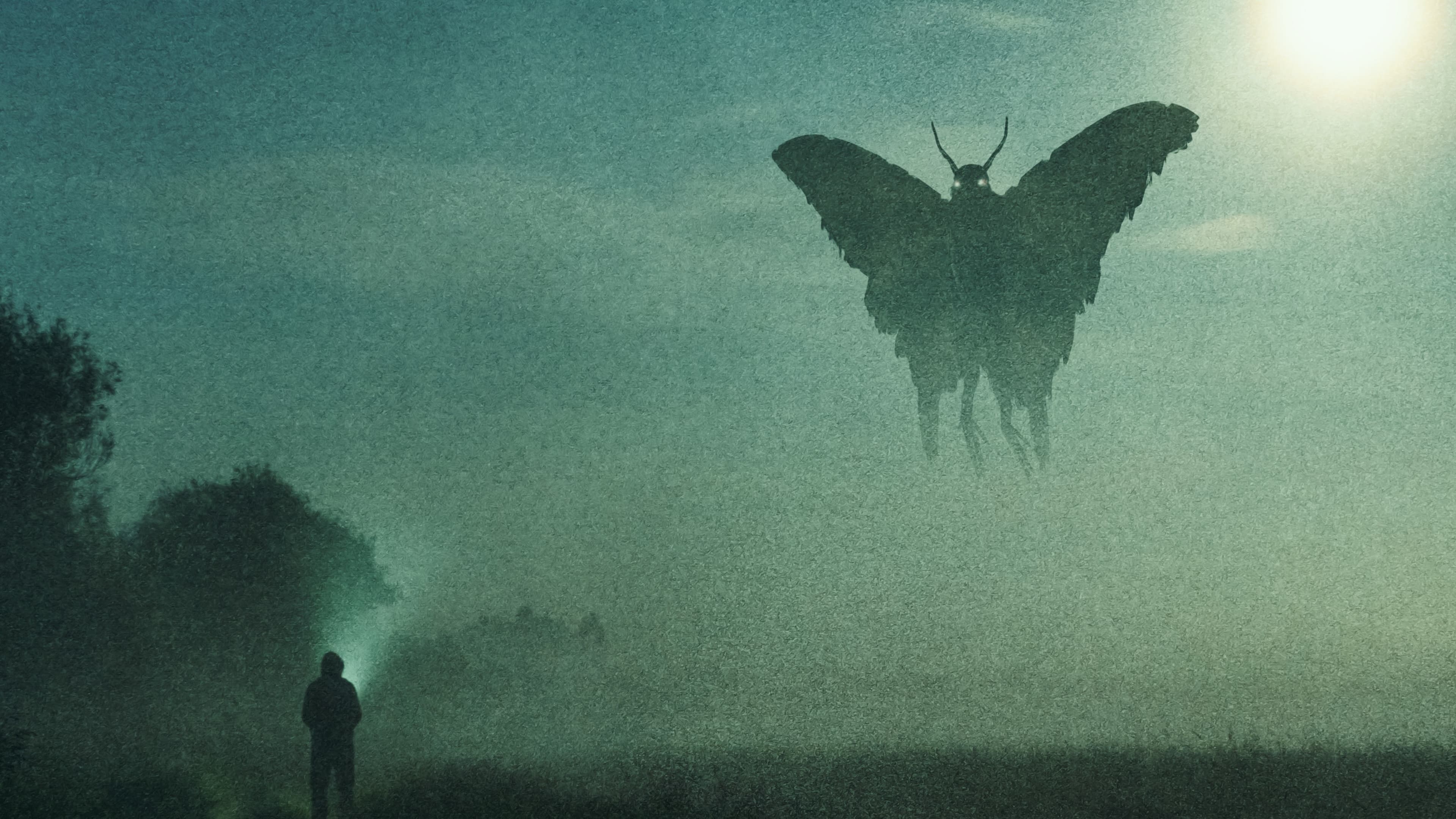 Enter the Hedge, Save Us All