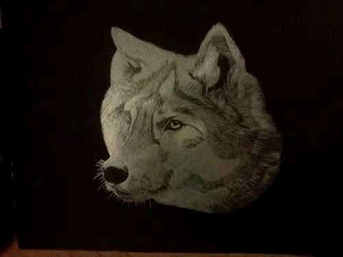 Aliss Maelynx avatar