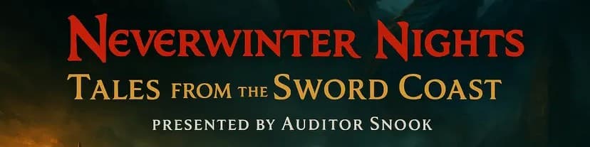 Auditor Snook banner