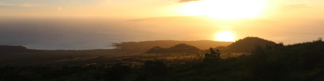 Shawn (t0rp0r) banner