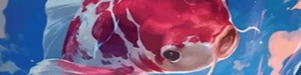 Scholar banner