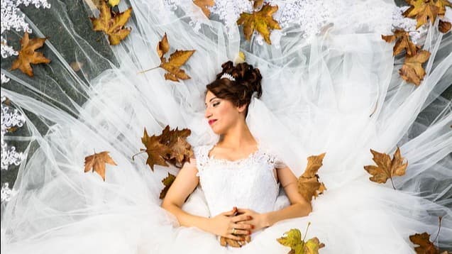 Bluebeard's Bride, a gothic horror fairy tale | open to all