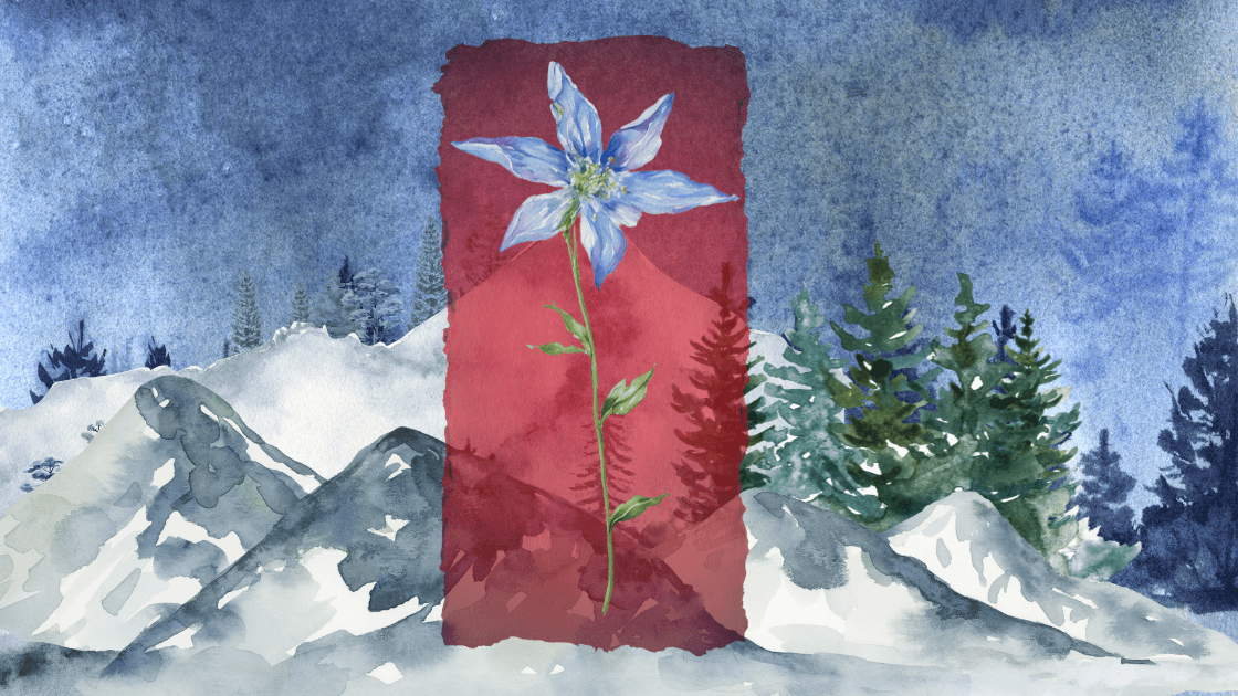 Delphiniums Alike | Original World | RP & Storytelling Focus