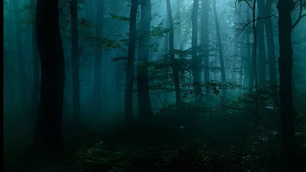 Howls of the Blood Moon