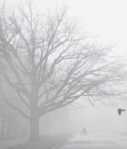 The Mists of Barovia (Curse of Strahd)