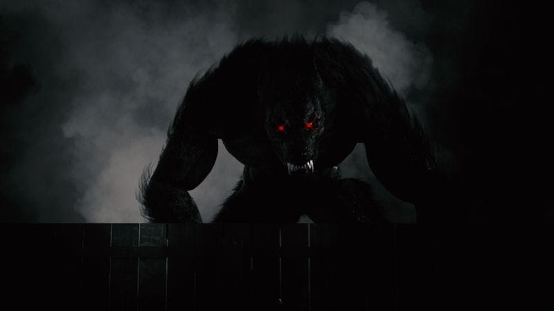 Intro to Werewolf the Forsaken 2nd Edition