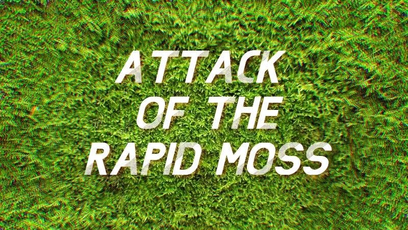 MoTW: Attack of the Rapid Moss